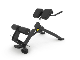 BACK EXTENSION