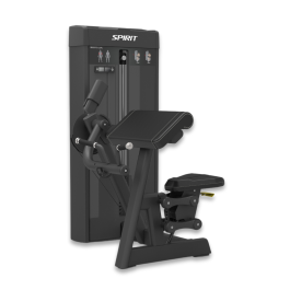 Biceps Curl