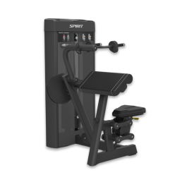 Triceps Extension